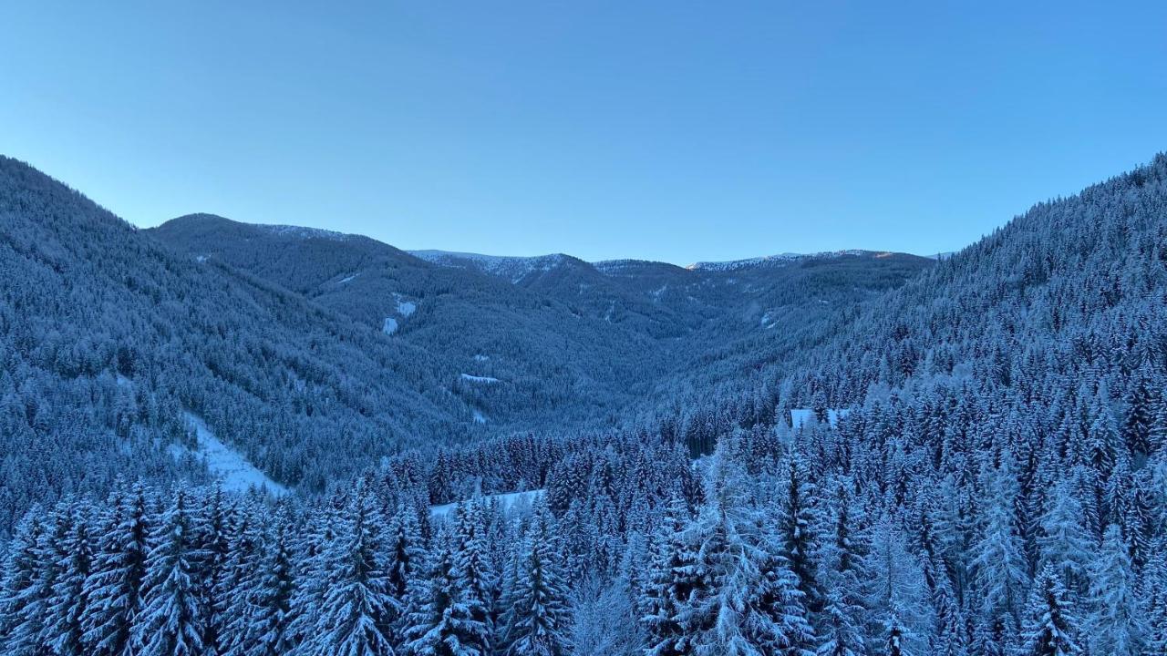穆劳附近圣洛伦岑Bergblick Ruhe Und Aussicht Auf 1100M公寓 外观 照片